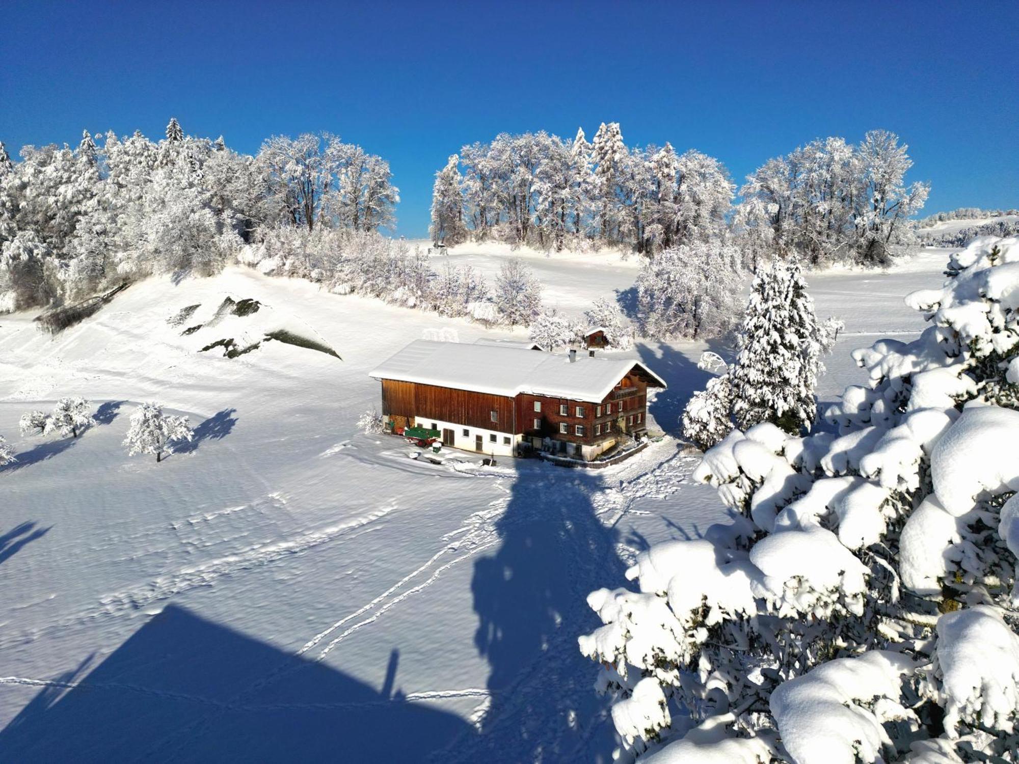 Bergoase Hohenegg Villa Лингенау Екстериор снимка