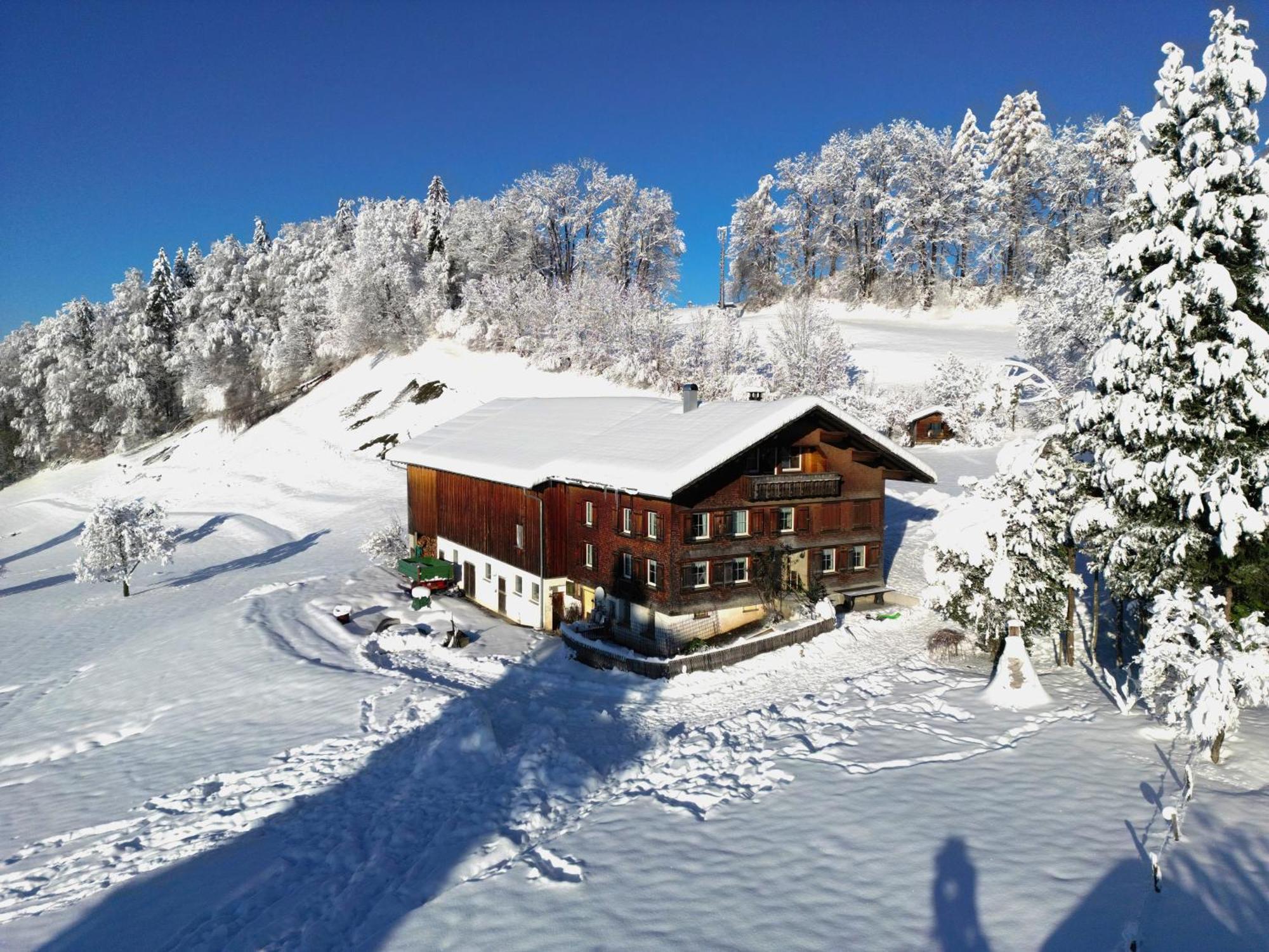 Bergoase Hohenegg Villa Лингенау Екстериор снимка